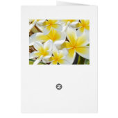 Frangipani_Bosje, Verjaardagskaart (Achterkant)
