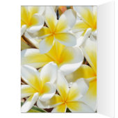 Frangipani_Bosje, Verjaardagskaart (Binnen (Links))