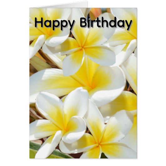 Frangipani_Bosje, Verjaardagskaart (Voorkant)