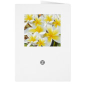 Frangipani Bouquet, Birthday Card (Achterkant)