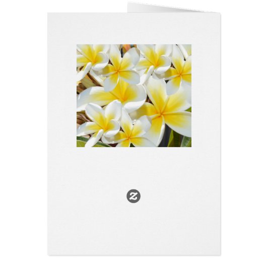 Frangipani Bouquet, Birthday Card (Achterkant)