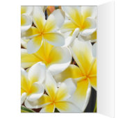 Frangipani Bouquet, Birthday Card (Binnen (Links))