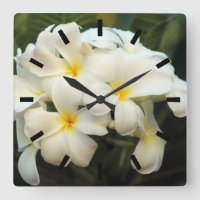 Frangipani bouquet bloemen