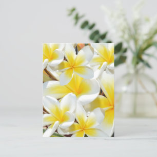 Frangipani Bouquet, Briefkaart