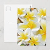 Frangipani Bouquet, Briefkaart (Voorkant / Achterkant)