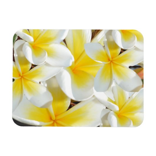 Frangipani Bouquet, Flexible Magnet Magneet (Horizontaal)