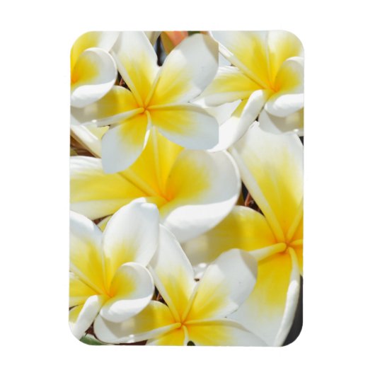 Frangipani Bouquet, Flexible Magnet Magneet (Verticaal)