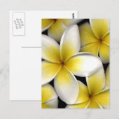 Frangipani Briefkaart (Voorkant / Achterkant)