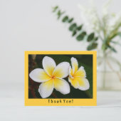 Frangipani Briefkaart (Staand voorkant)
