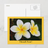 Frangipani Briefkaart (Voorkant / Achterkant)