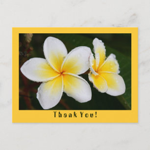 Frangipani Briefkaart