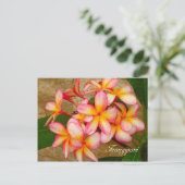 Frangipani Briefkaart (Staand voorkant)