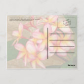 Frangipani Briefkaart (Achterkant)