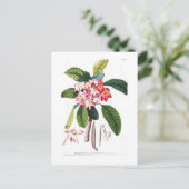 Frangipani Briefkaart (Staand voorkant)