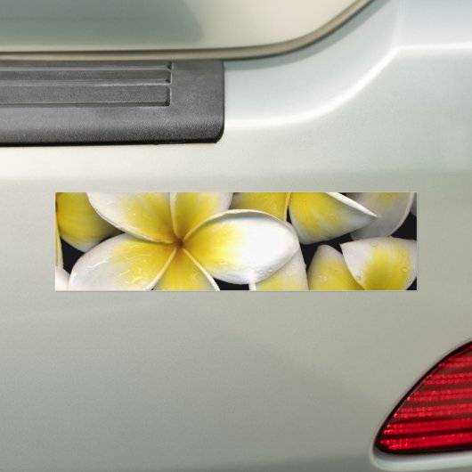 Frangipani Bumpersticker (Op auto)
