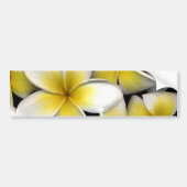 Frangipani Bumpersticker (Voorkant)