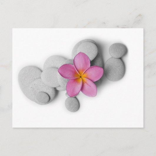 Frangipani Calm Briefkaart (Voorkant)