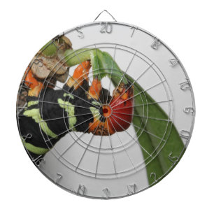Frangipani Caterpijler Dart Board Dartbord