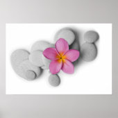 Frangipani en Pebbles Poster (Voorkant)