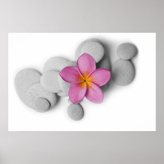 Frangipani en Pebbles Poster (Voorkant)