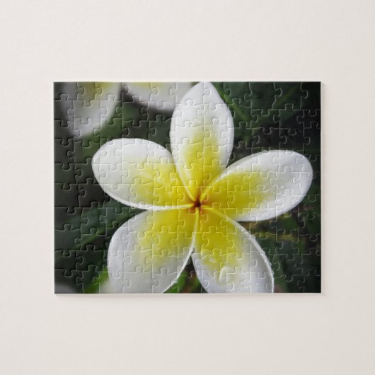 Frangipani en Raindrops Puzzle Legpuzzel (Horizontaal)