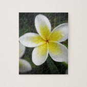 Frangipani en Raindrops Puzzle Legpuzzel (Verticaal)