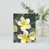Frangipani flower Cookeilanden Briefkaart (Staand voorkant)