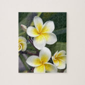 Frangipani flower Cookeilanden Legpuzzel (Verticaal)