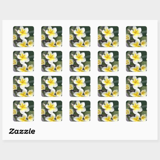 Frangipani flower Cookeilanden Vierkante Sticker (Vel)