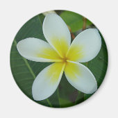 Frangipani Flower Magneet (Voorkant)