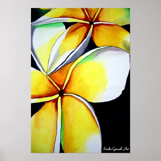 Frangipani flower poster door Sacha Grossel Art (Voorkant)