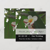 Frangipani-huwelijk Bewaar de datum-aankondigingen Save The Date (Voorkant / Achterkant)