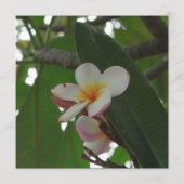 Frangipani-huwelijk Bewaar de datum-aankondigingen Save The Date (Achterkant)