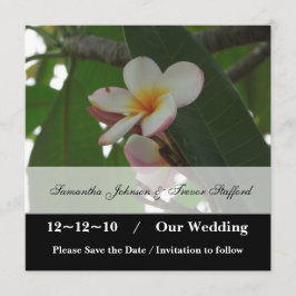 Frangipani-huwelijk Save the Date-aankondigingen Date