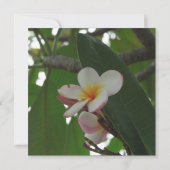 Frangipani-huwelijk Save the Date-aankondigingen Date (Achterkant)