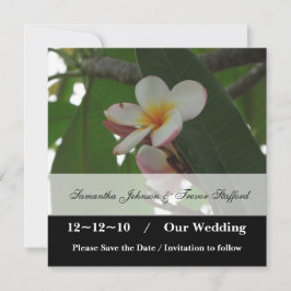 Frangipani-huwelijk Save the Date-aankondigingen Date