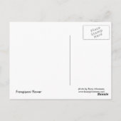 Frangipani I Briefkaart (Achterkant)