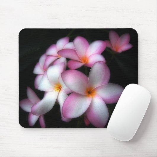 Frangipani in bloei muismat (Met muis)