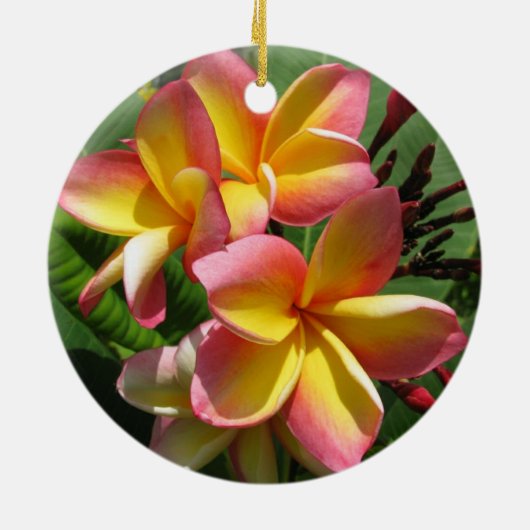 Frangipani keramische decoratie (Achterkant)