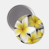 Frangipani Magneet (Voorkant / Achterkant)