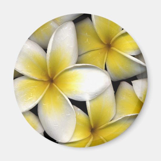 Frangipani Magneet (Voorkant)