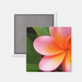 Frangipani Magnet (Voorkant / Achterkant)