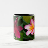 Frangipani Mok: Darwin Sunset & Hilo Beauty Tweekleurige Koffiemok (Center)