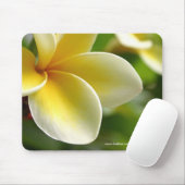 frangipani-muisblok muismat (Met muis)
