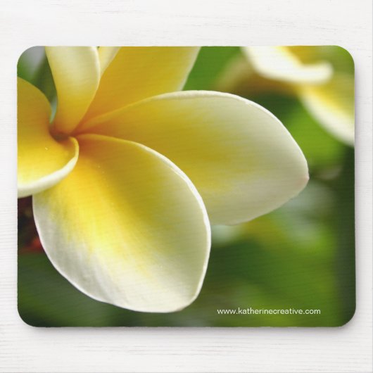 frangipani-muisblok muismat (Voorkant)