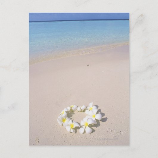 Frangipani op het strand briefkaart (Voorkant)