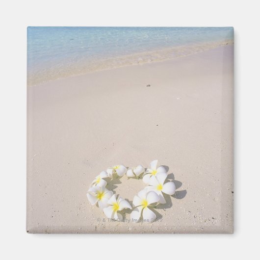 Frangipani op het strand magneet (Voorkant)