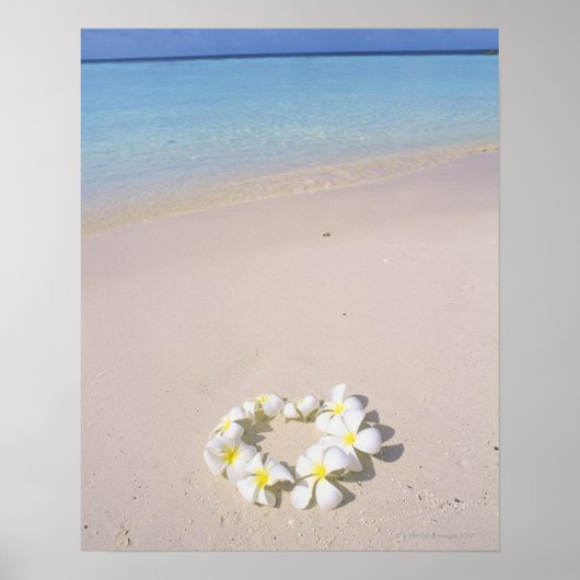 Frangipani op het strand poster (Voorkant)