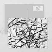 Frangipani Pencil Art Briefkaart (Voorkant / Achterkant)