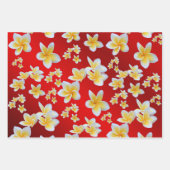 frangipani, petal, bloem, design, bloesem, loodgie inpakpapier vel (Voorkant 3)
